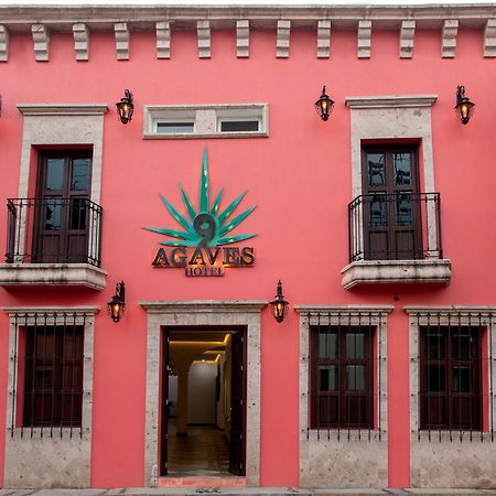 Nueve Agaves Hotel เตกีลา ภายนอก รูปภาพ